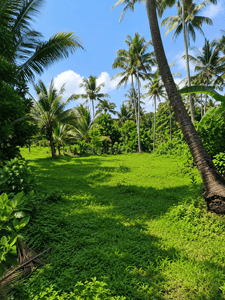 Image of 43560 Sq.ft Residential Plot / Land for sale in Thrippunithura, Kochi for Rs. 150000000