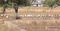 Chomu Plot View 2