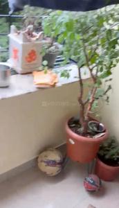 Balcony Image of 1270 Sq.ft 2 BHK Apartment / Flat for sale in Marigold Complex, Kalyani Nagar Pune for Rs. 23000000