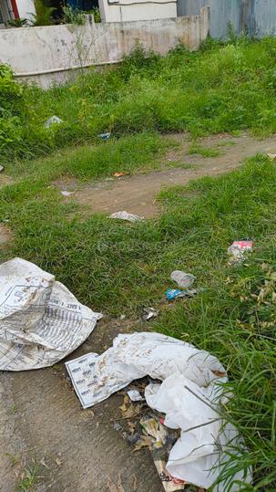 Mohammed Wadi Main Image 1