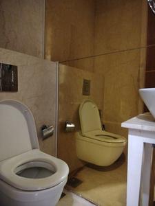 Common Bathroom Image of 2500 Sq.ft 4 BHK Apartment / Flat for sale in Tridhaatu Akshay Anand, Chembur Mumbai for Rs. 99900000