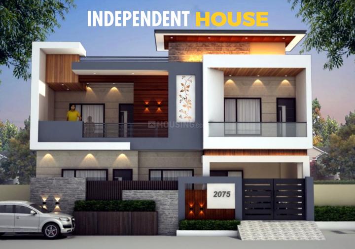 Trinity Provica Dream Valley Main Image 1