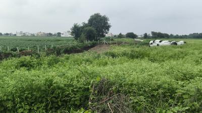 Image of 1800 Sq.ft Residential Plot / Land for sale in Aarone County Walk Plots, County Walk Township, Indore for Rs. 11700000