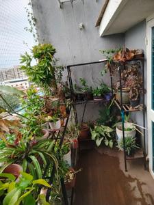 Balcony Image of 1023 Sq.ft 2 BHK Apartment / Flat for sale in Handewadi Pune for Rs. 7000000