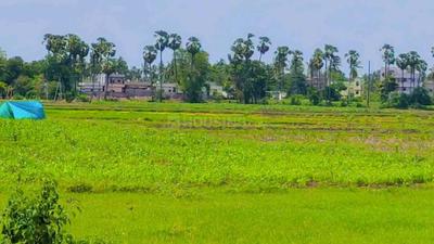 Image of 183 Sq.ft Residential Plot / Land for sale in Mylavaram, Vijayawada for Rs. 1829847