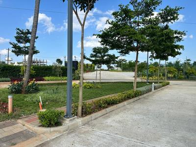 Somanatha Nagar Plot View 2