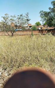 Sidhari Plot View 3