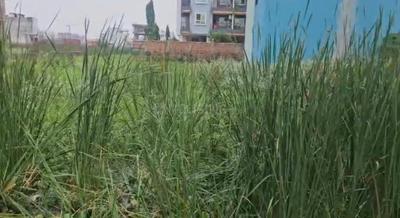 Image of 1361 Sq.ft Residential Plot / Land for sale in Gola Road, Patna for Rs. 15000000