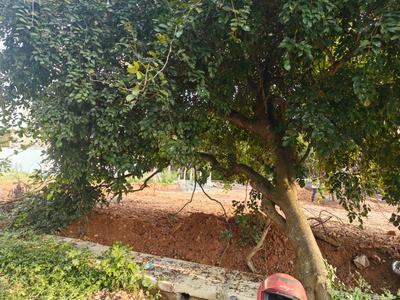 Image of 1200 Sq.ft Residential Plot / Land for sale in Lal Bahadur Shastri Nagar, Bengaluru for Rs. 15600000