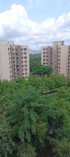 Lodha Casa Rio Property Details Video 1