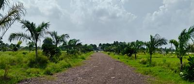 Image of 10000 Sq.ft Residential Plot / Land for sale in Patan, Durg for Rs. 3906000