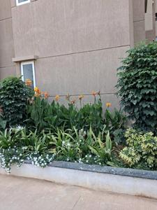 Image of 600 Sq.ft 2 BHK Apartment / Flat for rent in Shriram WYT Field, Bommenahalli, Bengaluru for Rs. 27000