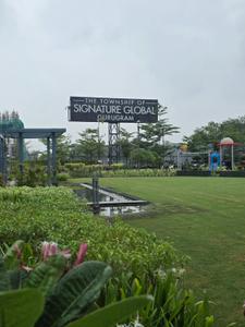 Image of 1550 Sq.ft 3.5 BHK Builder Floor for sale in Signature Global Daxin Vistas, Sector 36, Sohna for Rs. 22200000