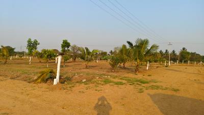Image of 242 Sq.ft Residential Plot / Land for sale in Nedunur, Hyderabad for Rs. 2900000