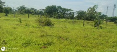 Image of 2325 Sq.ft Residential Plot / Land for sale in Kasara, Thane for Rs. 3000000