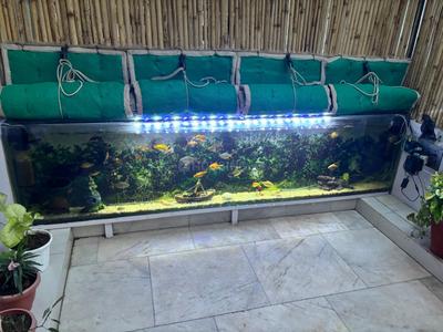 Balcony Image of 2430 Sq.ft 3 BHK Builder Floor for sale in Kailash Colony New Delhi for Rs. 29000000