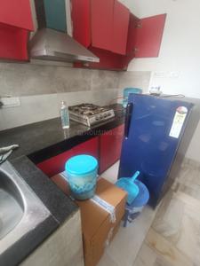 Kitchen Image of 1850 Sq.ft 3 BHK Builder Floor for rent in Sector 21 Panchkula for Rs. 30000