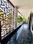 Balcony Image of Cloud Nine Rooms in Sector 49, Gurgaon