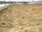 GSK JAY SHRI ROYAL GREEN PATAUDI Plot View 2