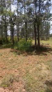 Image of 91476 Sq.ft Residential Plot / Land for sale in Nandi Hills, Chikballapur District for Rs. 126000000