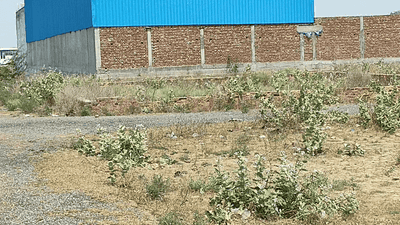 Image of 264 Sq.ft Residential Plot / Land for sale in Mathura Cantonment, Mathura for Rs. 3500000