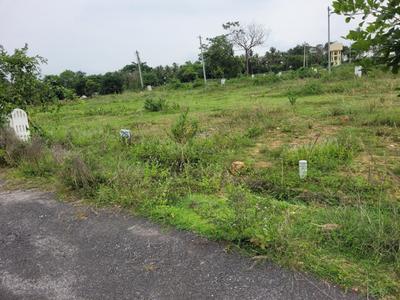 Residential Plot