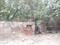 Rajendra Colony Plot View 1