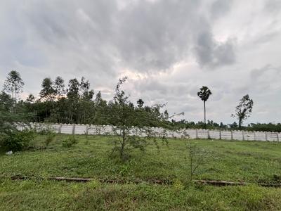 Ramapuram Plot View 3