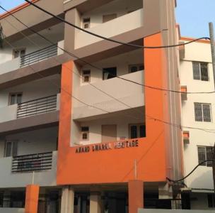 3 BHK Flat