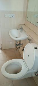 Bathroom Image of 1522 Sq.ft 3 BHK Apartment / Flat for rent in Jaypee Klassic , Sector 129 Noida for Rs. 24500
