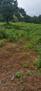 Image of 2842 Sq.ft Residential Plot / Land for sale in Anjap, Thane for Rs. 3410400
