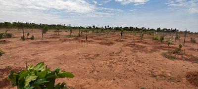 Image of 11104 Sq.ft Residential Plot / Land for sale in Sooriyur, Tiruchirappalli for Rs. 1765377
