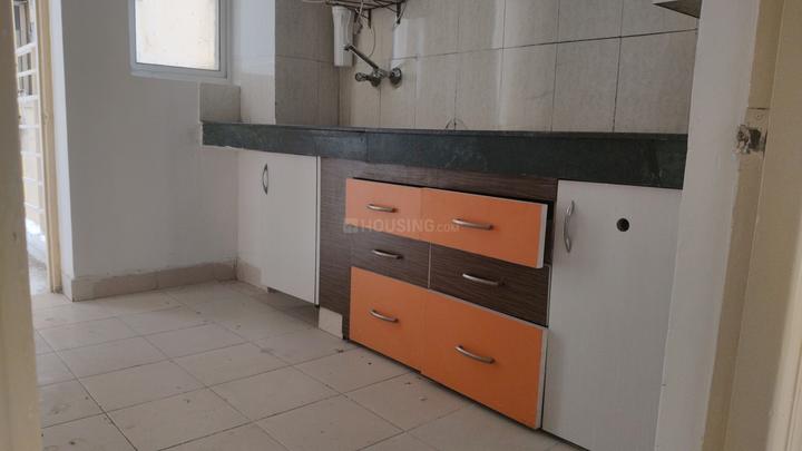 Paras Tierea Main Image 1