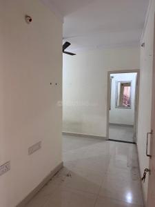 Hall Image of 550 Sq.ft 1 BHK Builder Floor for rent in Hoodi Bengaluru for Rs. 16000