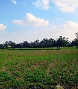 Image of 87120 Sq.ft Residential Plot / Land for sale in Ranga Reddy, Shankar palle mandal, Hyderabad for Rs. 32000000