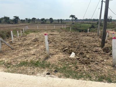 Image of 57600 Sq.ft Residential Plot / Land for sale in Santiniketan, Bolpur-Santiniketan for Rs. 40000000