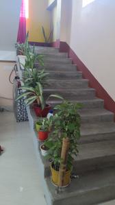 Hall Image of 2880 Sq.ft 4 BHK Independent House for sale in Sonapur Guwahati for Rs. 8500000