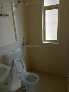 Image of 750 Sq.ft 3 BHK Apartment / Flat for rent in Conscient Habitat 78, Sector 78, Faridabad for Rs. 25000