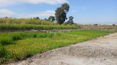 Image of 100 Sq.ft Residential Plot / Land for sale in Doiwala, Dehradun for Rs. 2700000