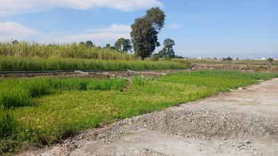 majri grant Plot View 3