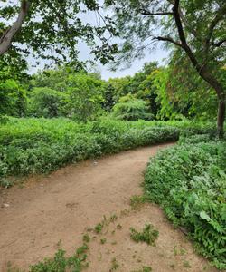 Image of 517 Sq.ft Residential Plot / Land for sale in Raysan, Gandhinagar for Rs. 35000000