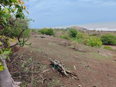 Image of 32670 Sq.ft Residential Plot / Land for sale in Shrivardhan, Raigad for Rs. 36000000