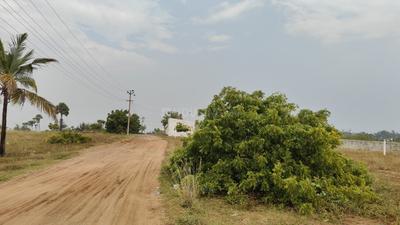 Image of 12000 Sq.ft Residential Plot / Land for sale in Mahabalipuram, Chennai for Rs. 8000000