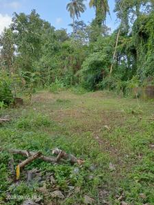 Image of 65334 Sq.ft Residential Plot / Land for sale in Keezhmadu, Aluva for Rs. 10500000