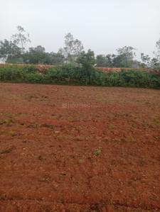Image of 1200 Sq.ft Residential Plot / Land for sale in Trisulia, Cuttack for Rs. 840000