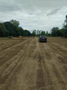 Image of 1000 Sq.ft Residential Plot / Land for sale in Amethi, Lucknow for Rs. 2100000