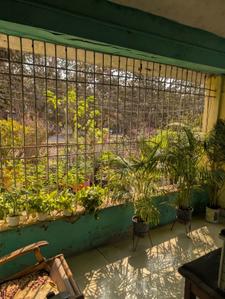 Balcony Image of 2400 Sq.ft 10 BHK Independent House for sale in Sindhya Nagar Durg for Rs. 8000000