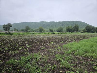 Image of 5500 Sq.ft Residential Plot / Land for sale in Mirjapur, Indore for Rs. 8500000