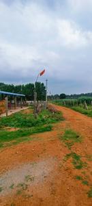 Image of 43560 Sq.ft Residential Plot / Land for sale in Kandukur, Hyderabad for Rs. 15000000