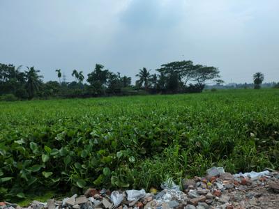 Image of 720 Sq.ft Residential Plot / Land for sale in Wander Valley, Joka, Kolkata for Rs. 250007